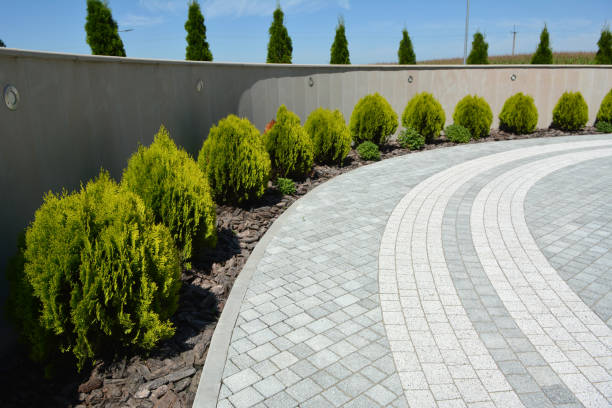 Best Brick Driveway Pavers  in Rose Hill, NC